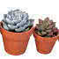 Containers