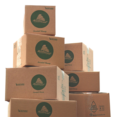 Stack of cardboard boxes