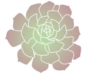 Other hardy succulents