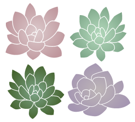 Assorted products that differ from product photograph