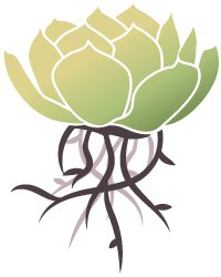 Root Rot