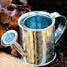Watering