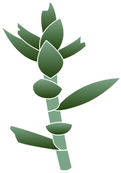 Numerous broken or missing leaves