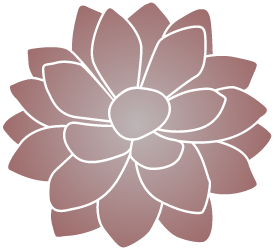 Sempervivum Heuffelii