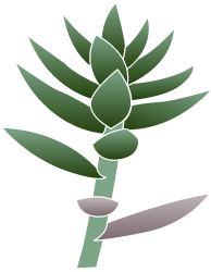 A couple of broken, missing, or wilted leaves, as long as 10 or more healthy leaves remain intact