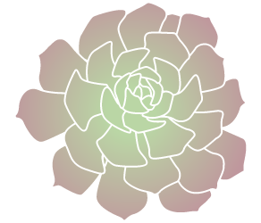 Other hardy succulents