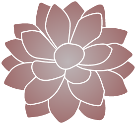 Sempervivum Heuffelii