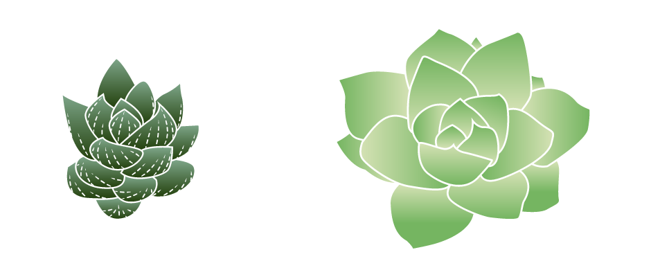 One small and one large succulent