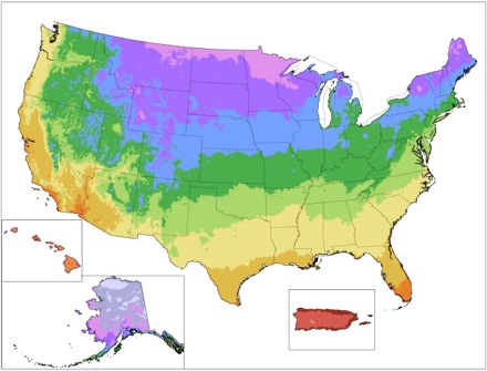 USDA Zone map for average annual extreme minimum temperatures