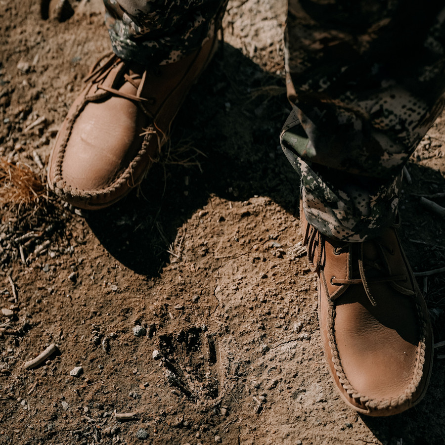 McCullough- Buckskin