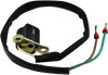 Kimpex Pickup Coil Assembly 280611