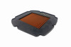 <ul>
<li>Single-layer polyester</li>
<li>P08 material is currently used in MotoGP and WSBK</li>
<li>Innovative polyester material allows for consistent airflow</li>
<li>Steel wire mesh with epoxy varnish finish</li>
<li>Optimized filter surface area provides more airflow, more power, and more filtration</li>
<li>Increased air permeability and filtration efficiency when compared to cotton air filters</li>
<li>Airflow: 5,050 l/m<sup>2</sup>/sec. / Filtration: 80&mu;m</li>
<li>Can be cleaned using only compressed air</li>
<li>Dry filter, no oil treatments required</li>
<li>Direct OEM replacement</li>
<li>1-year warranty</li>
</ul>
<div class="moretab" data-title="Product Details">
<p><iframe src="%%GLOBAL_ShopPathSSL%%/content/Descriptions/Sprint_Filter_Product_Details_Tab_P08.html" width="575" height="500" frameborder="0"></iframe></p>
</div>
<div class="moretab" data-title="Technical">
<p><strong>OEM Reference:</strong> QJ MOTOR 49200P830000</p>
</div>
