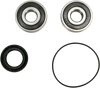 Pivot Works Wheel Bearing And Seal Kit Pwfwsh33000