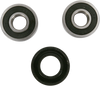 Pivot Works Wheel Bearing And Seal Kit Pwrwks39000