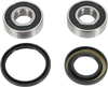 Pivot Works Wheel Bearing And Seal Kit Pwfwsh05000