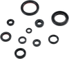 Moose Racing Oil Seal Kit 822332Mse