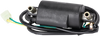 Rick'S Motorsport Electric Ignition Coil 23107