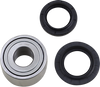 Moose Racing Wheel Bearing Kit 251734