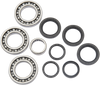 Moose Racing Bearing Seal Kit 252065