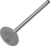 Del West Titanium Engine Valve Dwrmz250Ev04