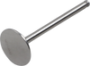 Del West Titanium Engine Valve Dwyz450Fev03