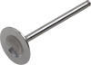 Del West Titanium Engine Valve Dwtrx450R2Ev04