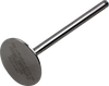 Del West Titanium Engine Valve Dwcrf450Rev13Nd