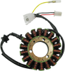 Rick'S Motorsport Electric Stator For Ktm 210096