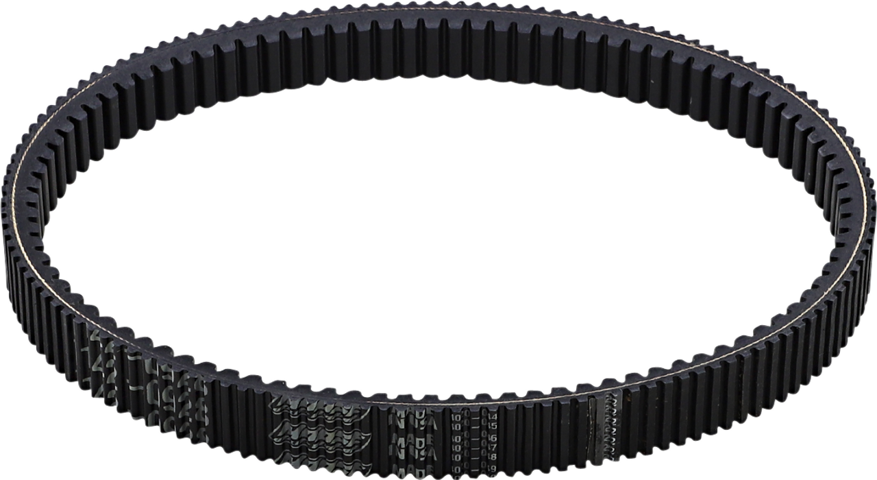 Moose Utility Drive Belt 477147