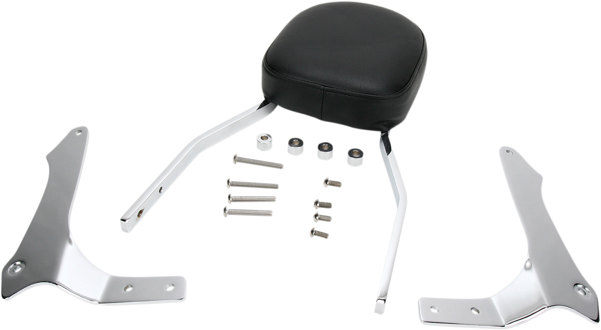 Sissy Bar - Standard - Raider