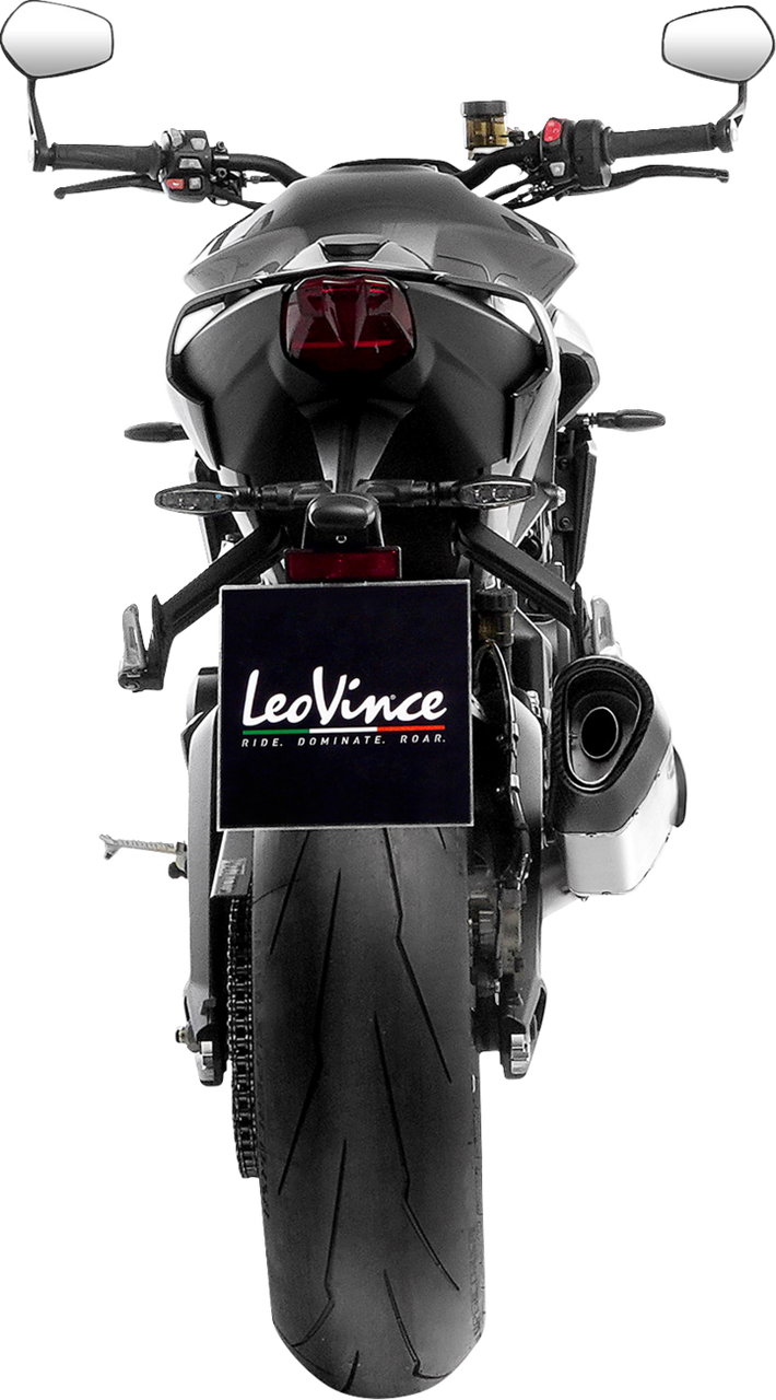 LV-14 R Exhaust System - Titanium - Triumph Street Triple 765