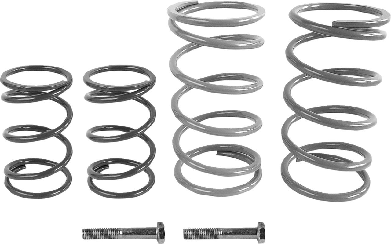 Epi Economy Clutch Kit We437770