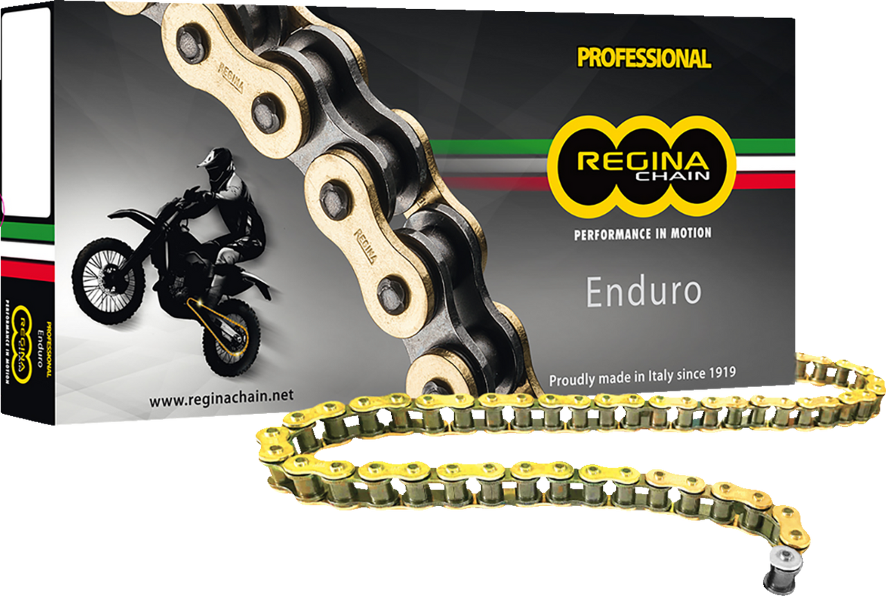 Regina 520 Zse Drive Chain 135Zse/1005