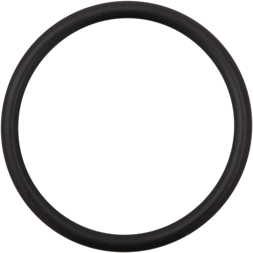 James Gasket Alternator Cap Cover O-Ring Jgist11900029