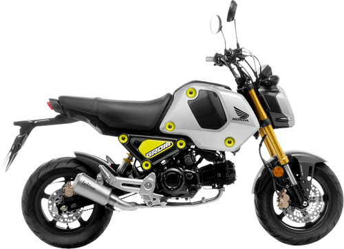 LV-10 Exhaust - Stainless Steel