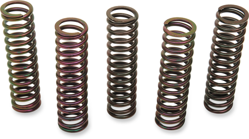 Barnett Clutch Spring Kit 5015905098