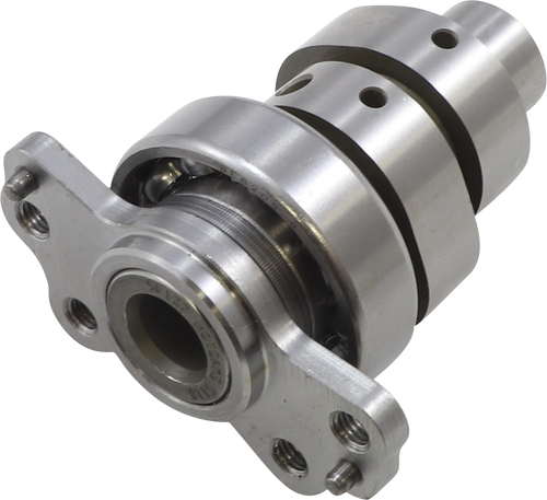 Hot Cams Intake Exhaust Camshaft 41271