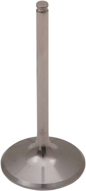 Del West Titanium Engine Valve Dwcrf450Riv09