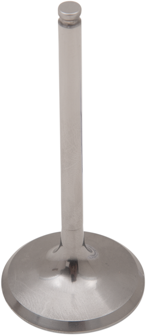 Del West Titanium Engine Valve Dwkx450Fiv06