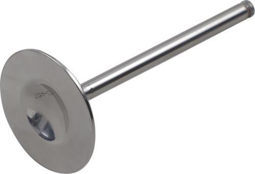 Del West Titanium Engine Valve Dwtrx450R2Iv05