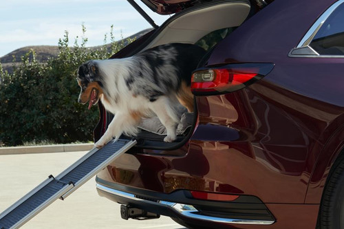 Mazda Pet Ramp