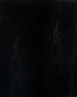 Cintesi Timber Chair Sample - Oak, Black 