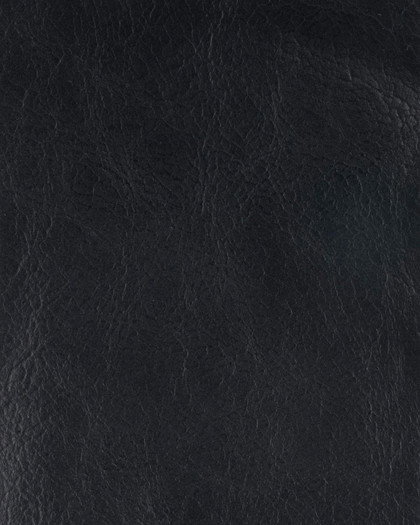 Cintesi Leather Sample - Raven Black 