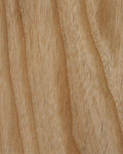 Cintesi Timber Chair Sample - Ash, Natural 