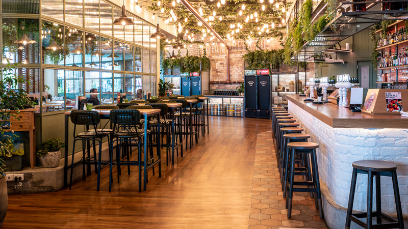 Welcome to Botany Commons: Where Style Meets Social