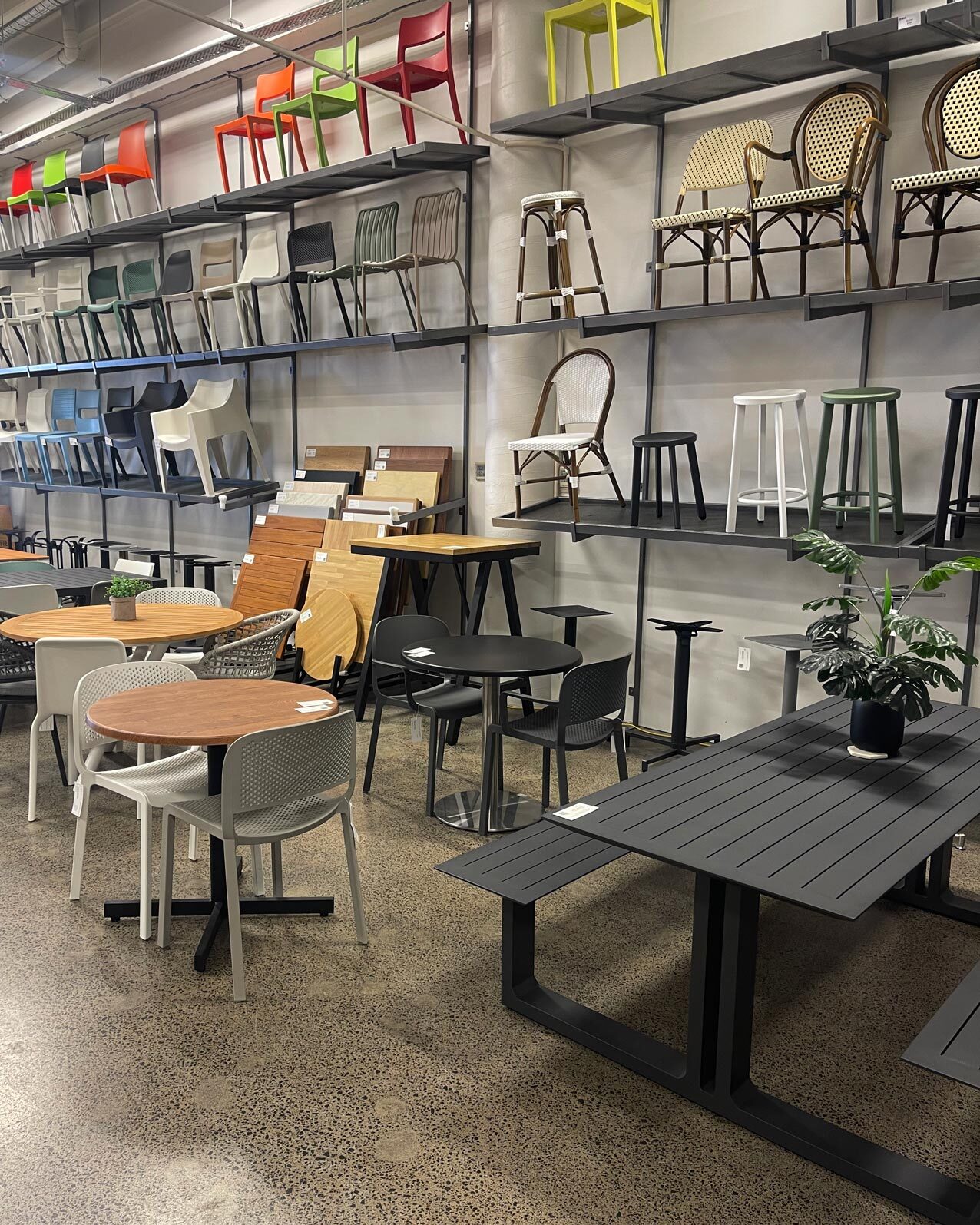 auckland showroom cintesi furniture