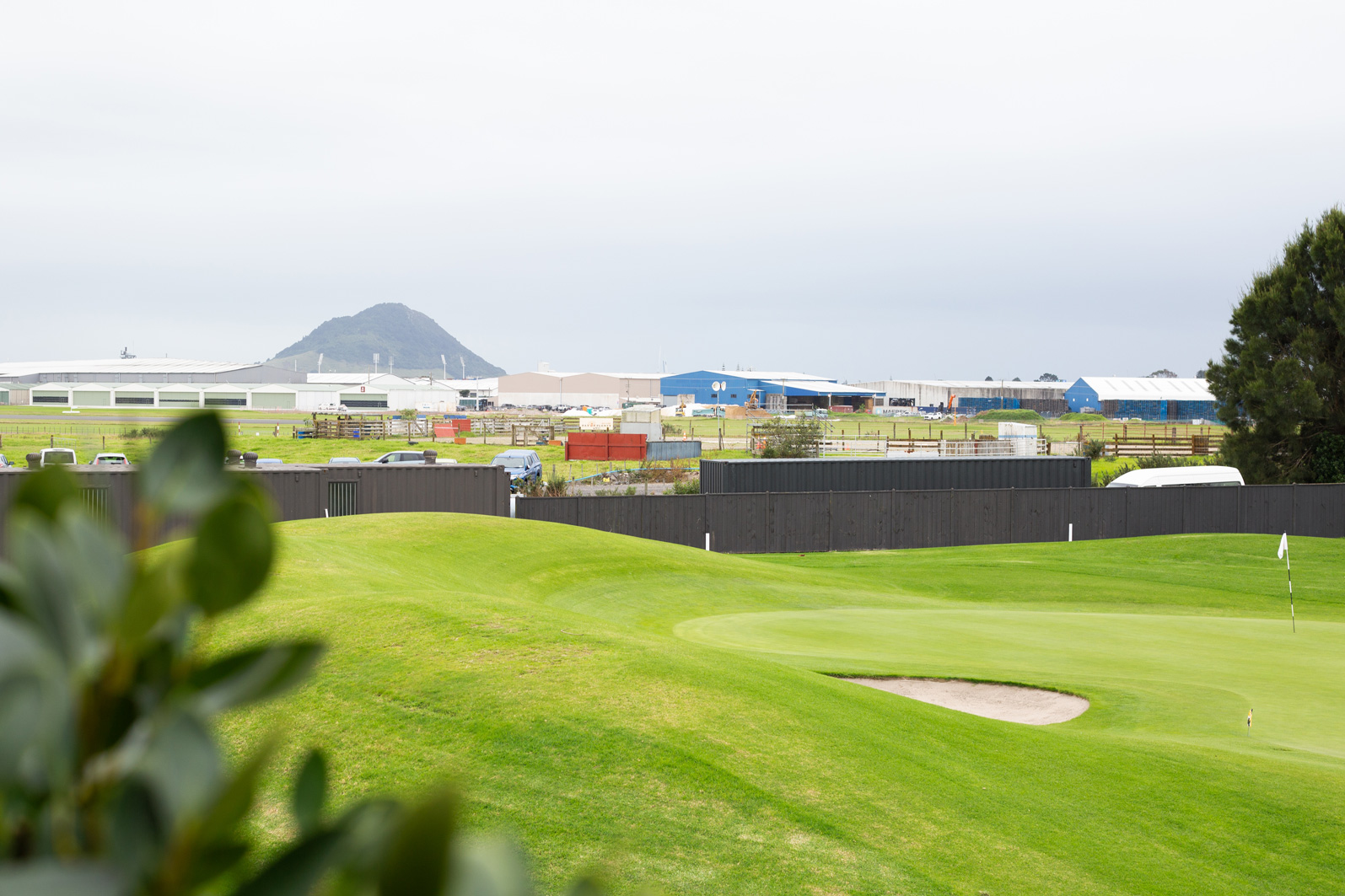 view from Omanu Golf Club Terrace