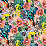 Vibrant Botanica