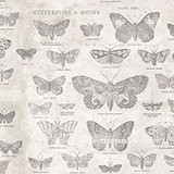 Tim Holtz Monochrome
