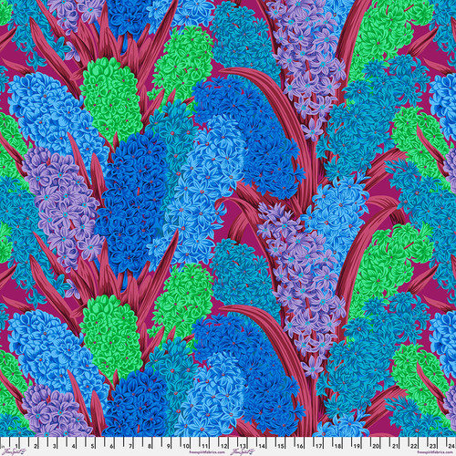 Hyacinthus - Blue || August 2023 Hyacinthus - Blue || August 2023